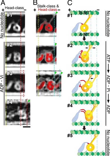 Fig. 7.