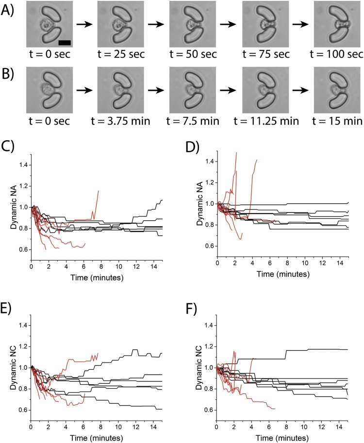 FIG. 6.