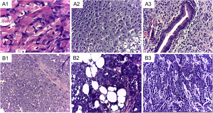 Fig. 8