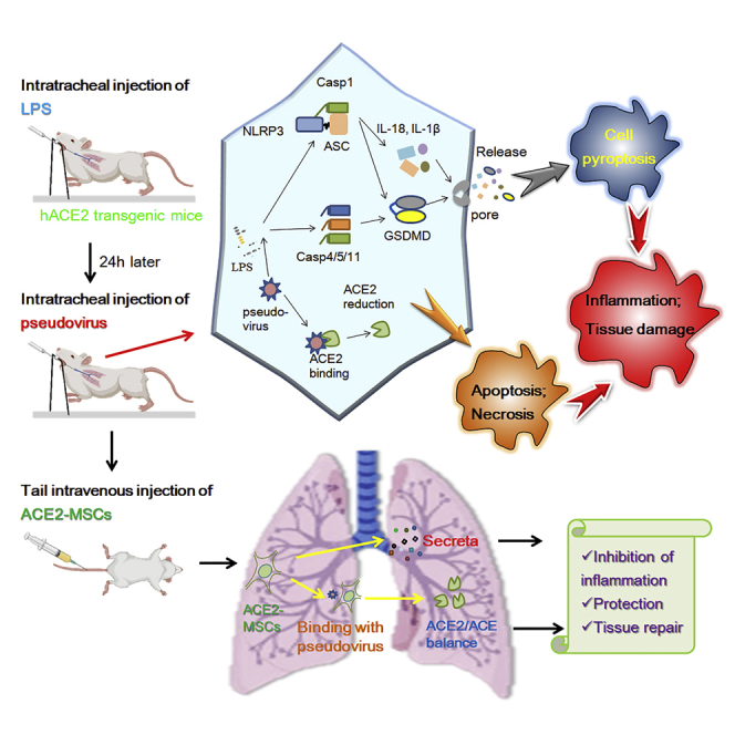 graphic file with name fx1.jpg