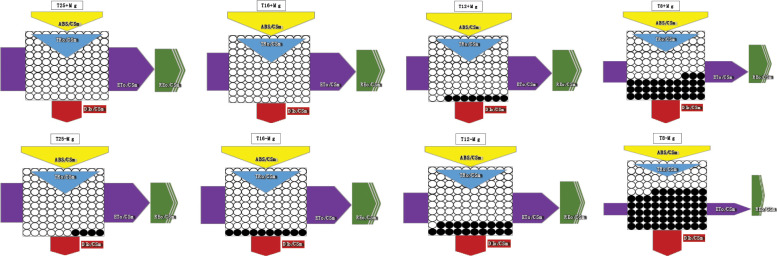 Figure 9