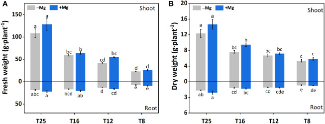 Figure 2