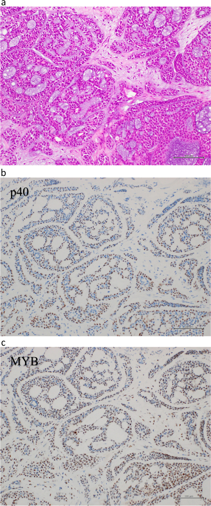 Fig. 4