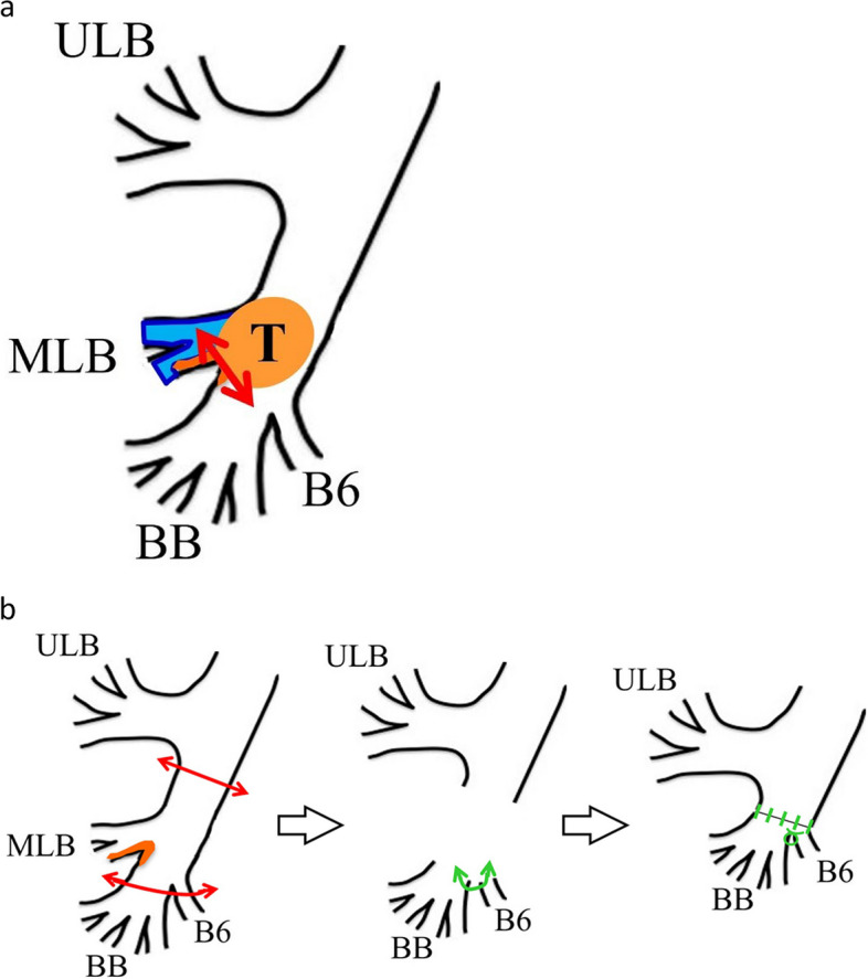 Fig. 3