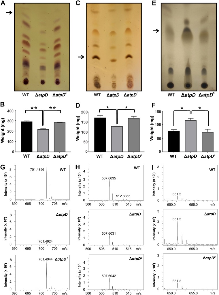 FIG 3