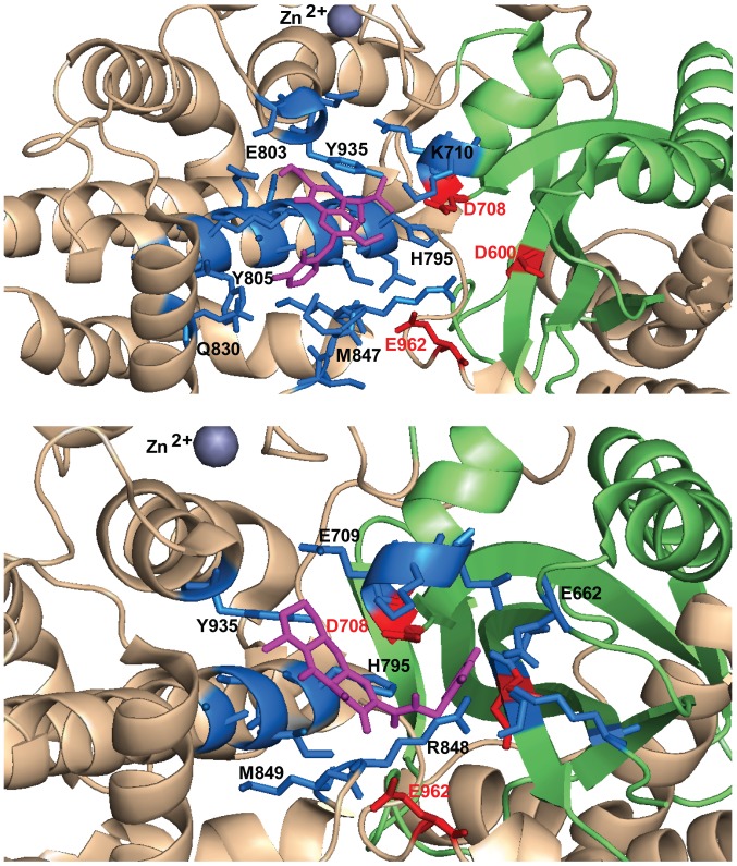 Figure 6.