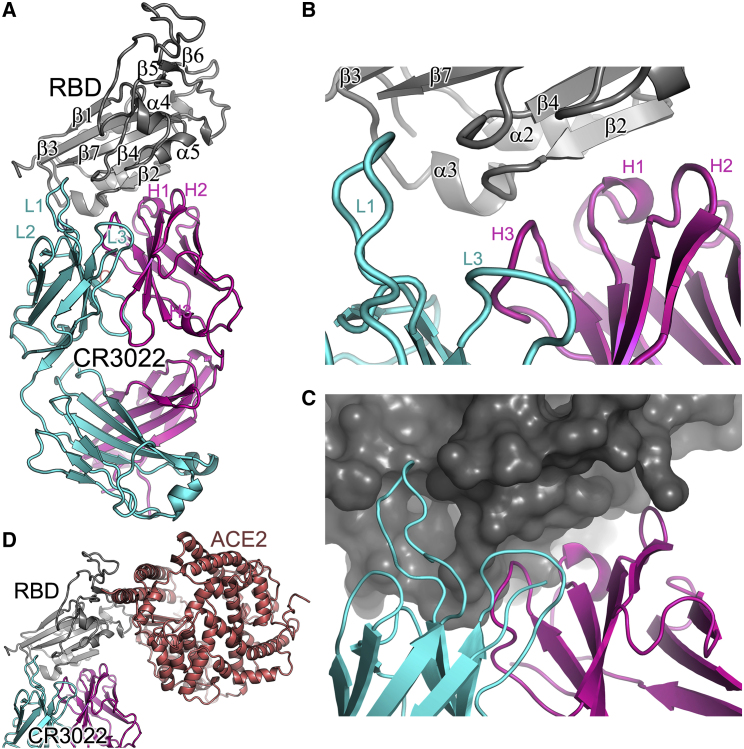 Figure 3