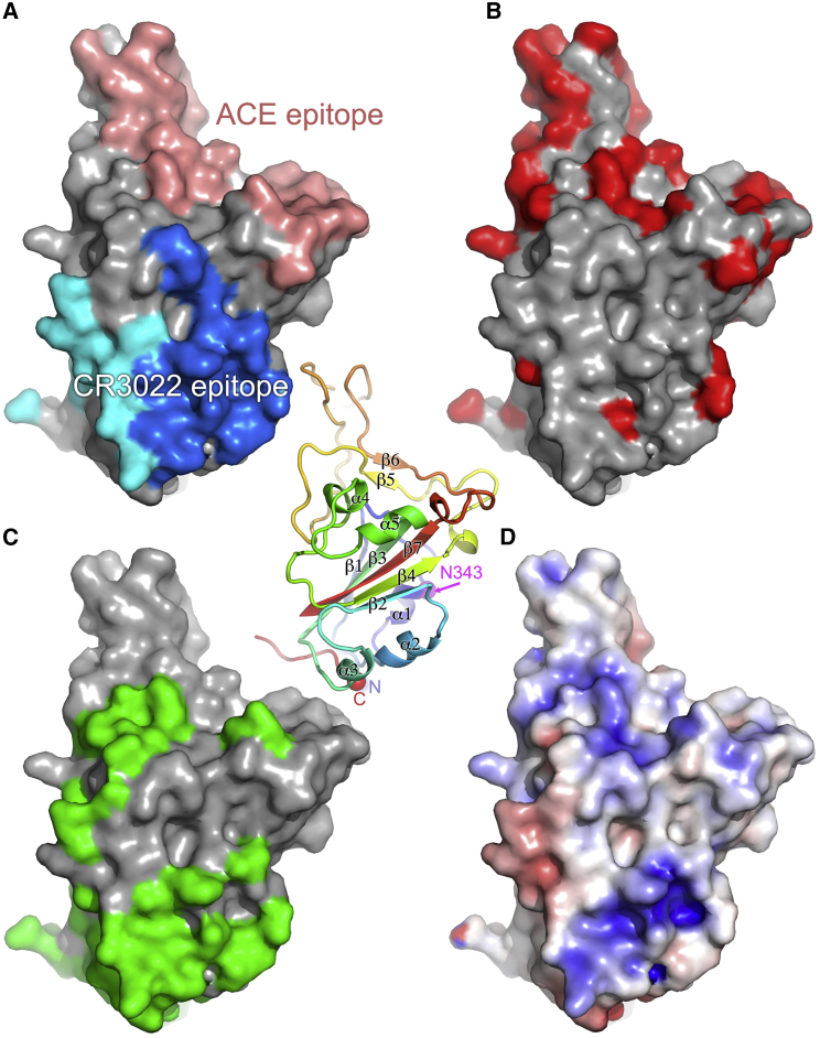 Figure 4