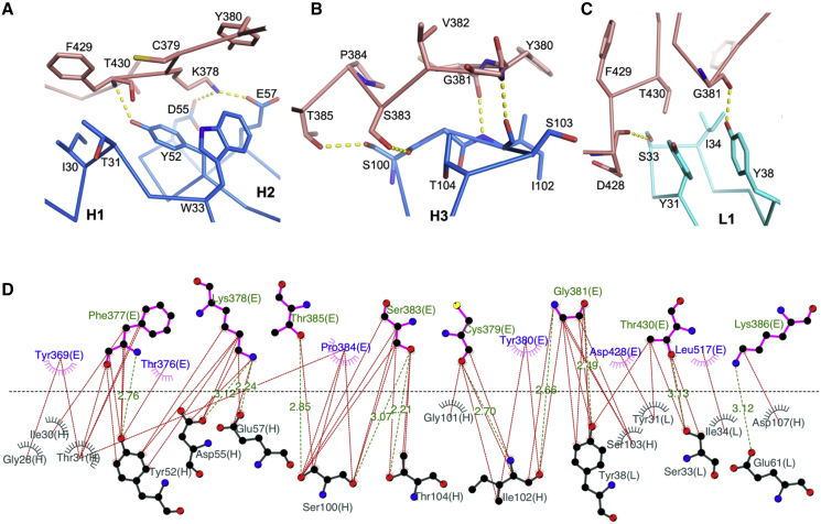 Figure 5