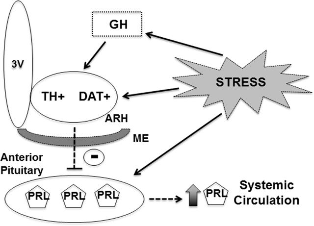 graphic file with name nihms-1786302-f0008.jpg