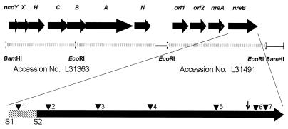 FIG. 1