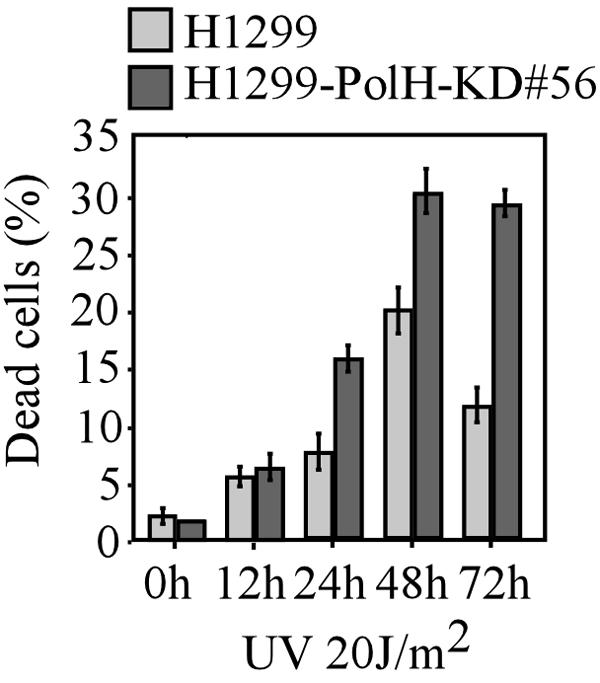 FIG. 9.