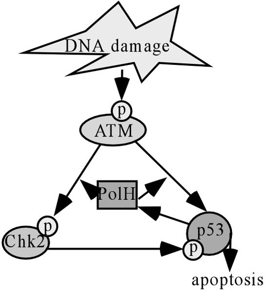 FIG. 11.