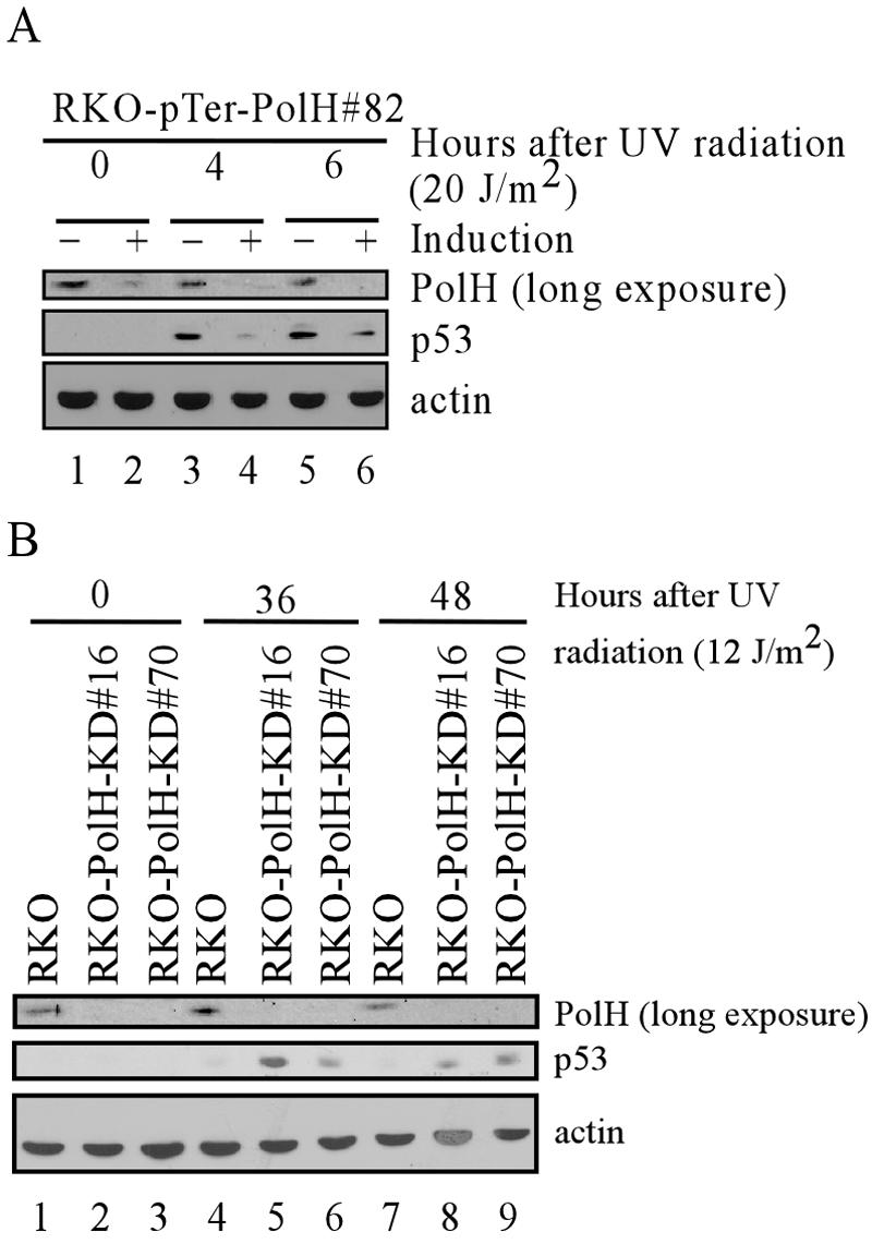 FIG. 10.