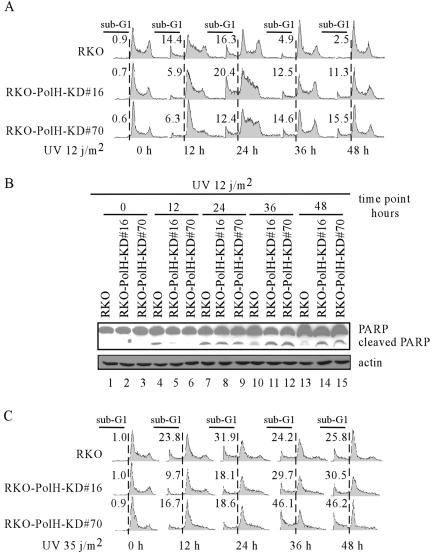 FIG. 8.