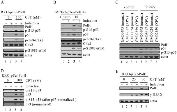 FIG. 6.