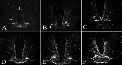 Figure 16