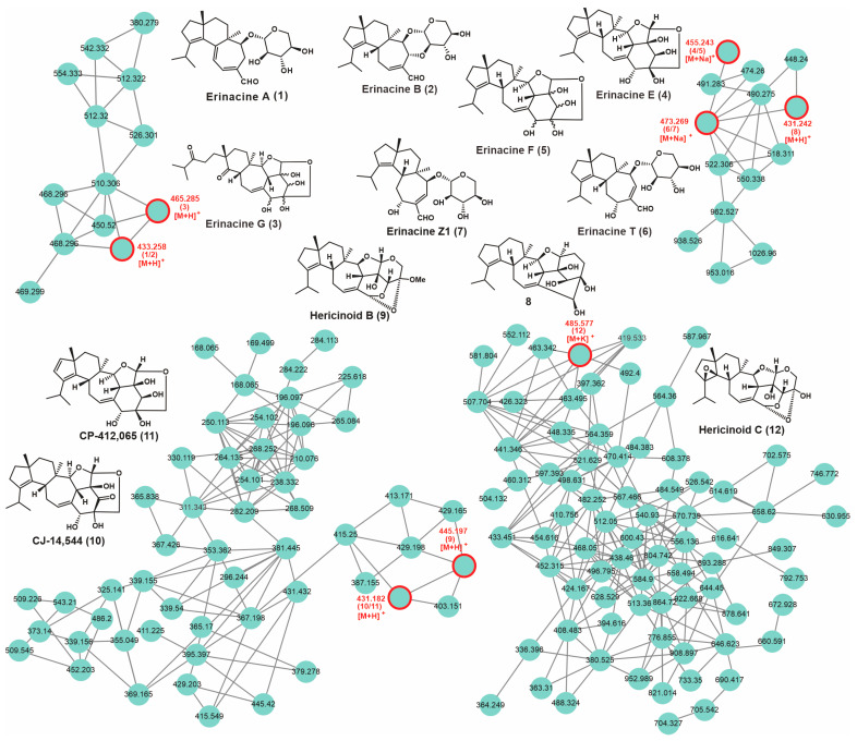 Figure 7