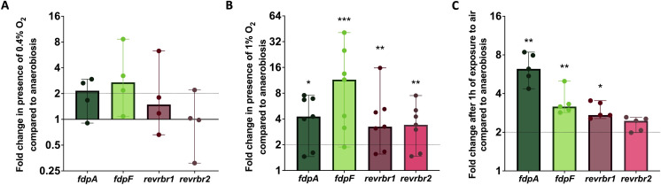 Graphs feature fold change in gene expression of fdpA, fdpF, revrbr1 and 2 in C. difficile under different oxygen conditions compared to anaerobic conditions, with fdpA and fdpF being upregulated and revrbr1 and 2 being downregulated.