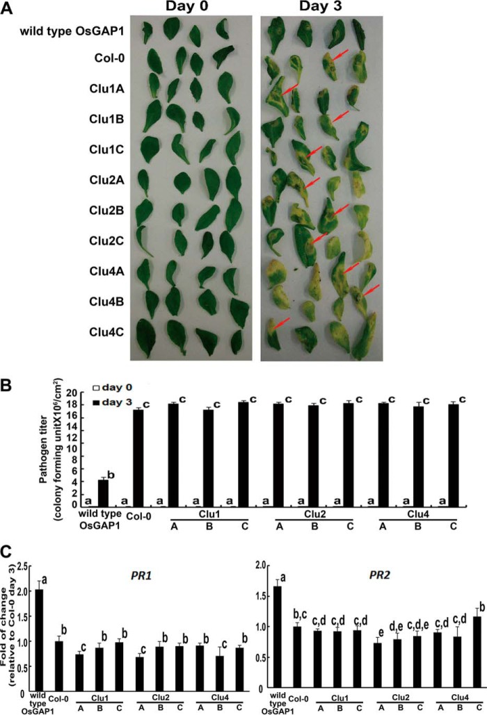 FIGURE 5.