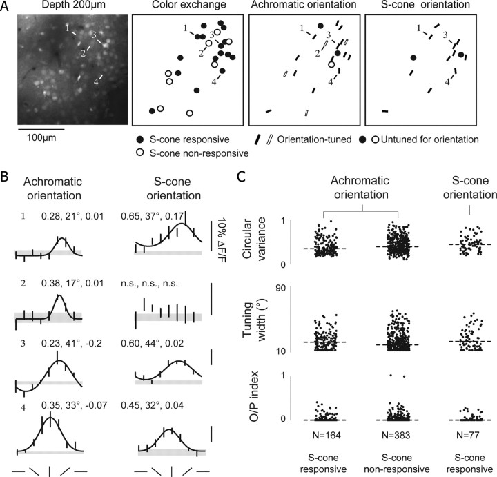 Figure 4.