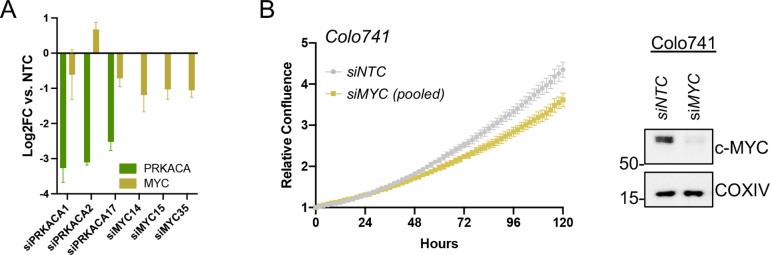 Figure 4—figure supplement 1.