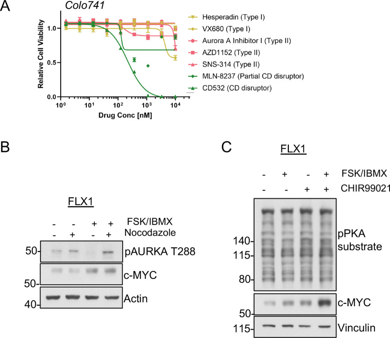 Figure 5—figure supplement 1.