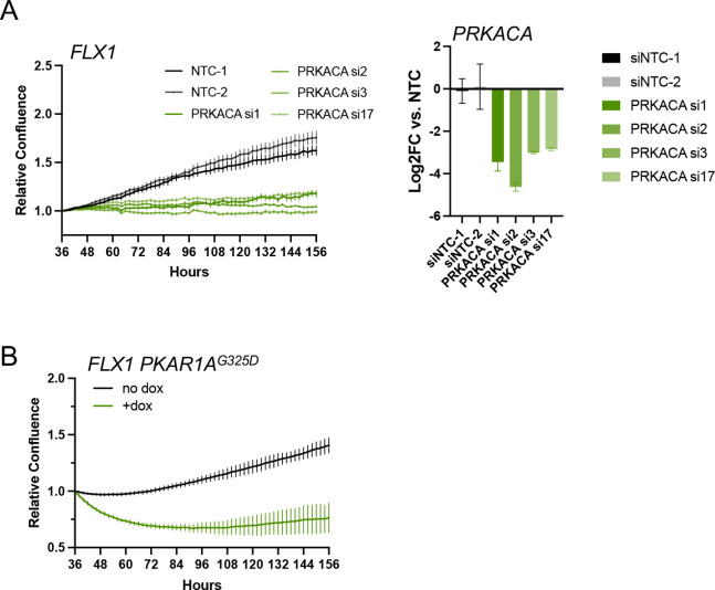 Figure 3—figure supplement 1.