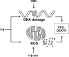 FIGURE 9.