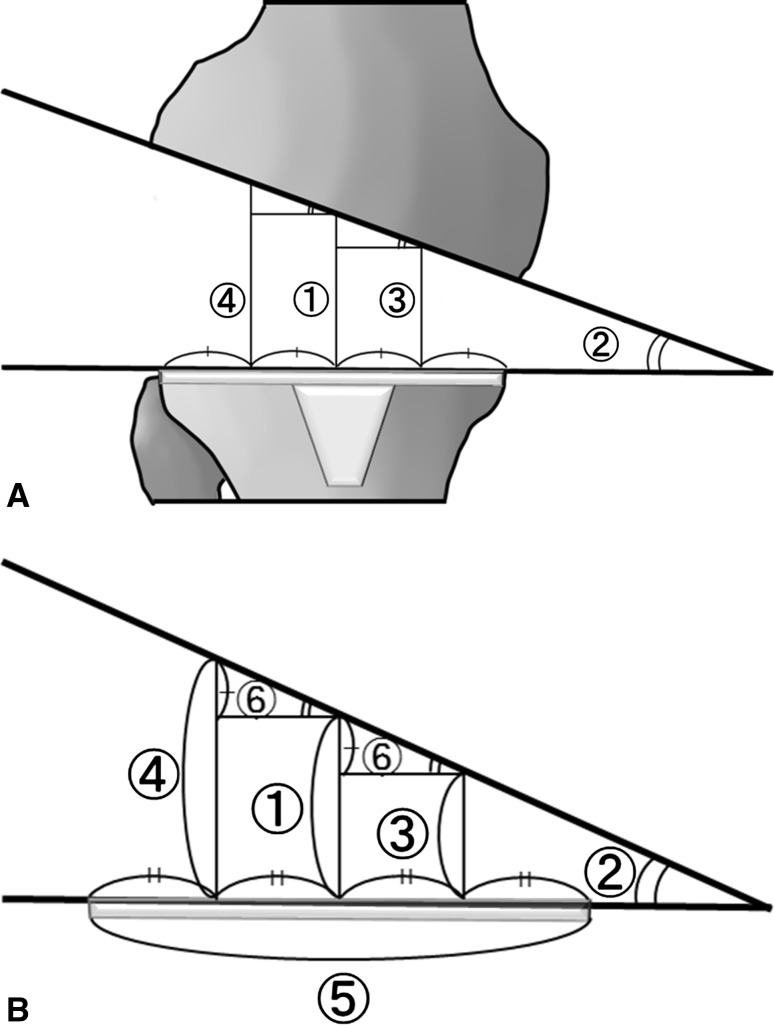 Fig. 2A–B