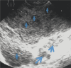 Fig. 7