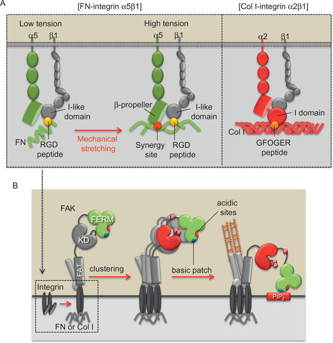 Figure 2.2