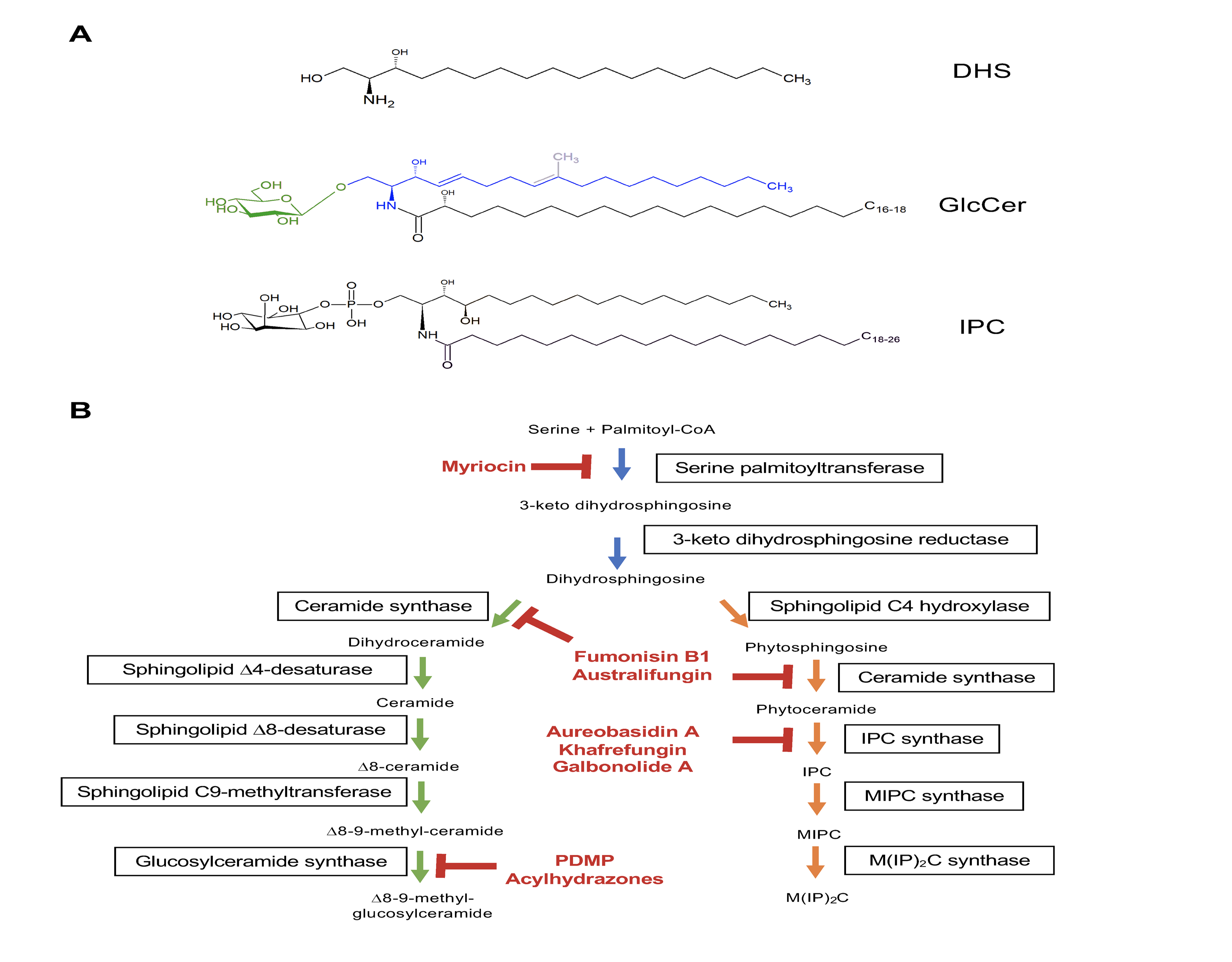 Figure 2.