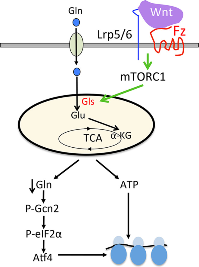 Fig. 2