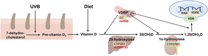 Figure 5