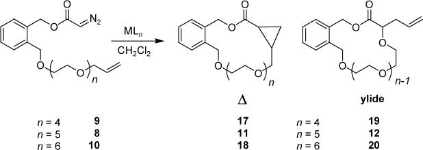 Scheme 3