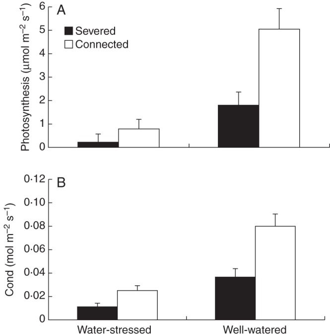 Fig. 3