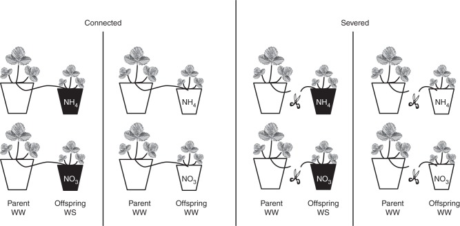 Fig. 1.