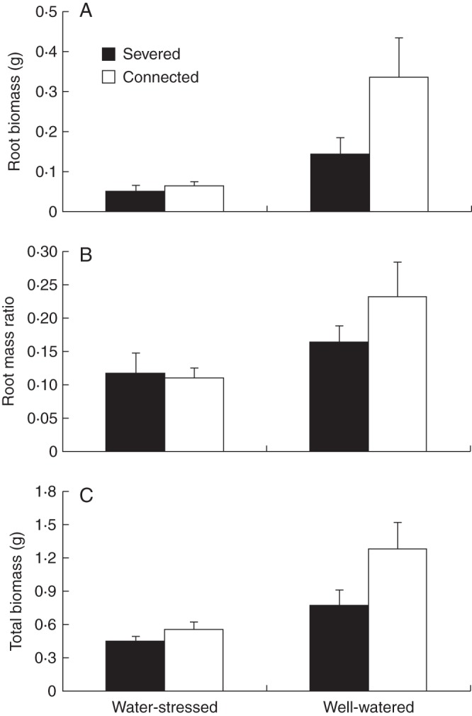 Fig. 6.