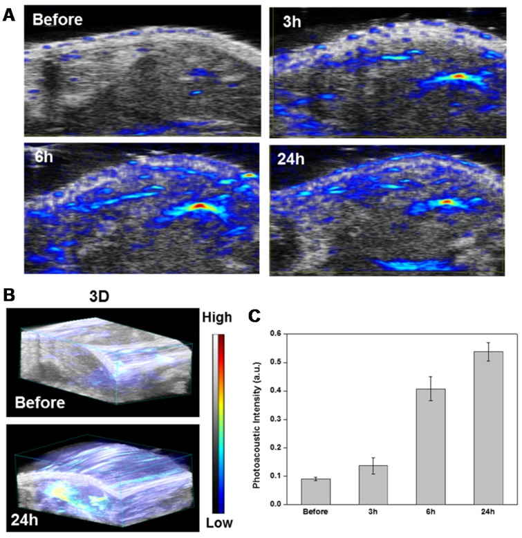 Figure 6