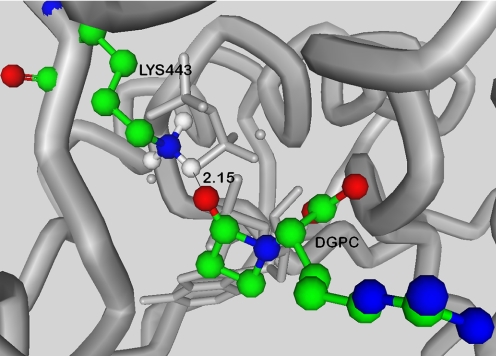 FIGURE 1.