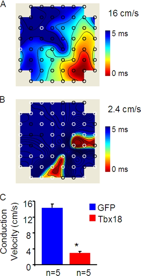 FIGURE 6.