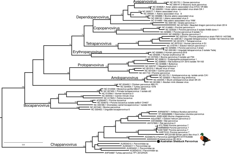 Fig. 6