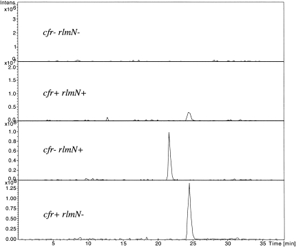 FIGURE 3.