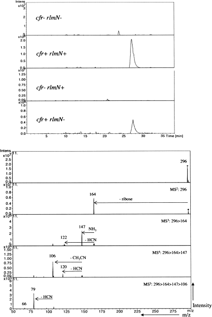 FIGURE 5.