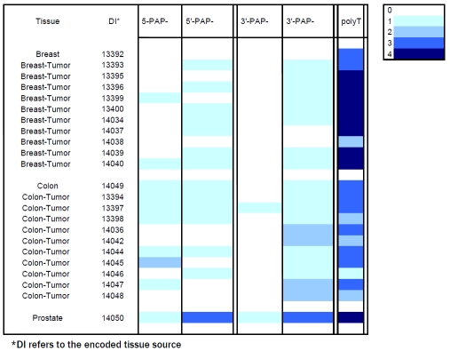 graphic file with name ijcep0004-0295-t1.jpg