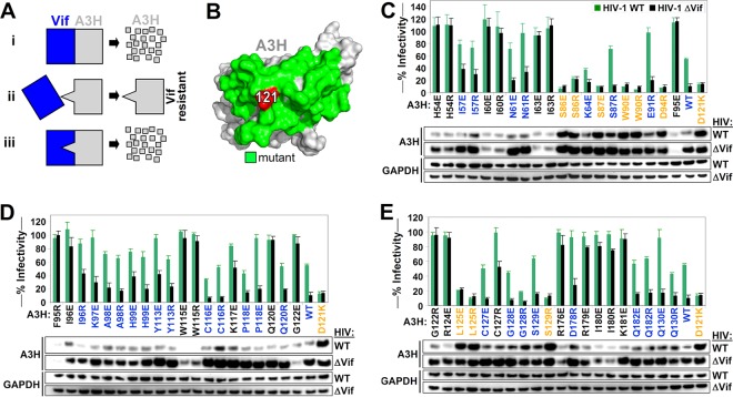 FIG 1