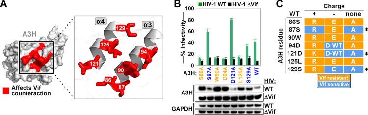 FIG 2