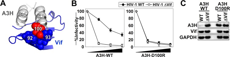 FIG 7