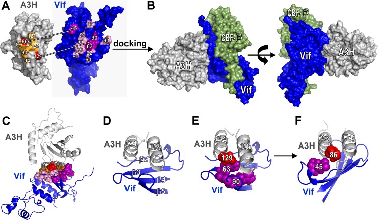 FIG 6